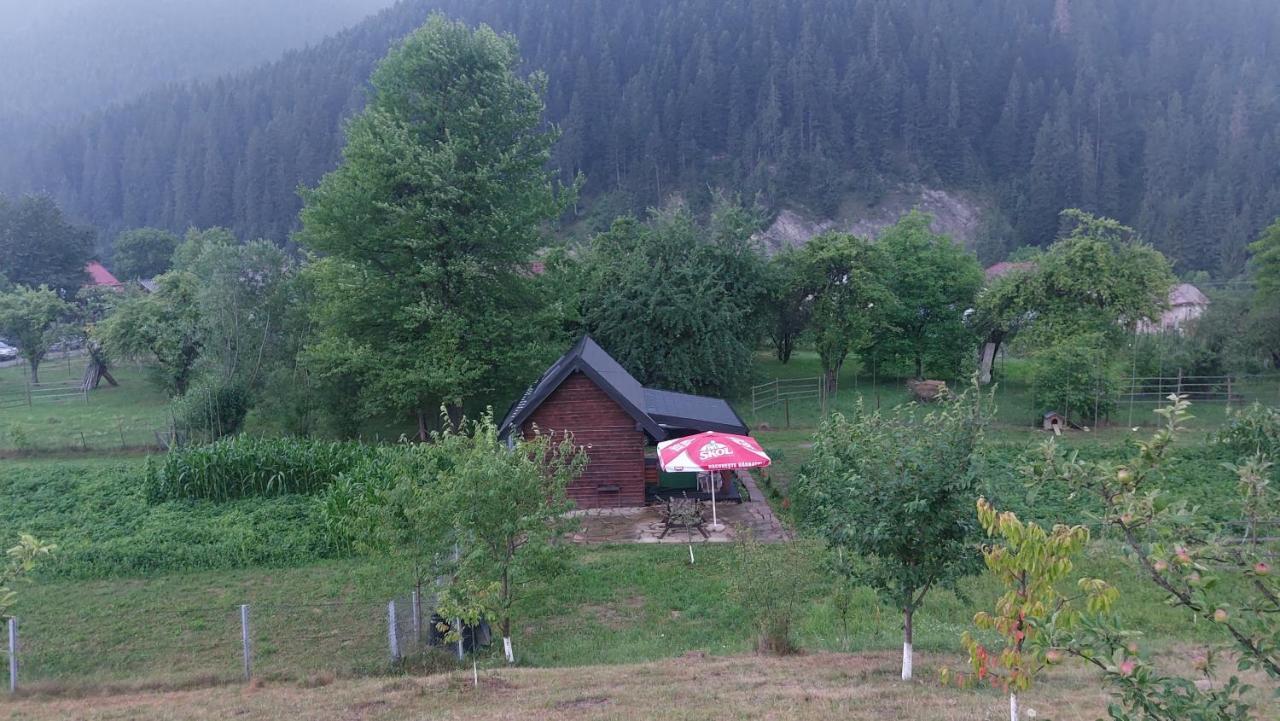 Villa Tiny House Casa Axa à Paraul Carjei Extérieur photo