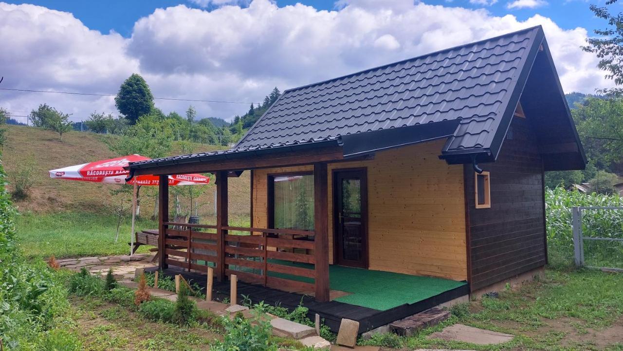 Villa Tiny House Casa Axa à Paraul Carjei Extérieur photo